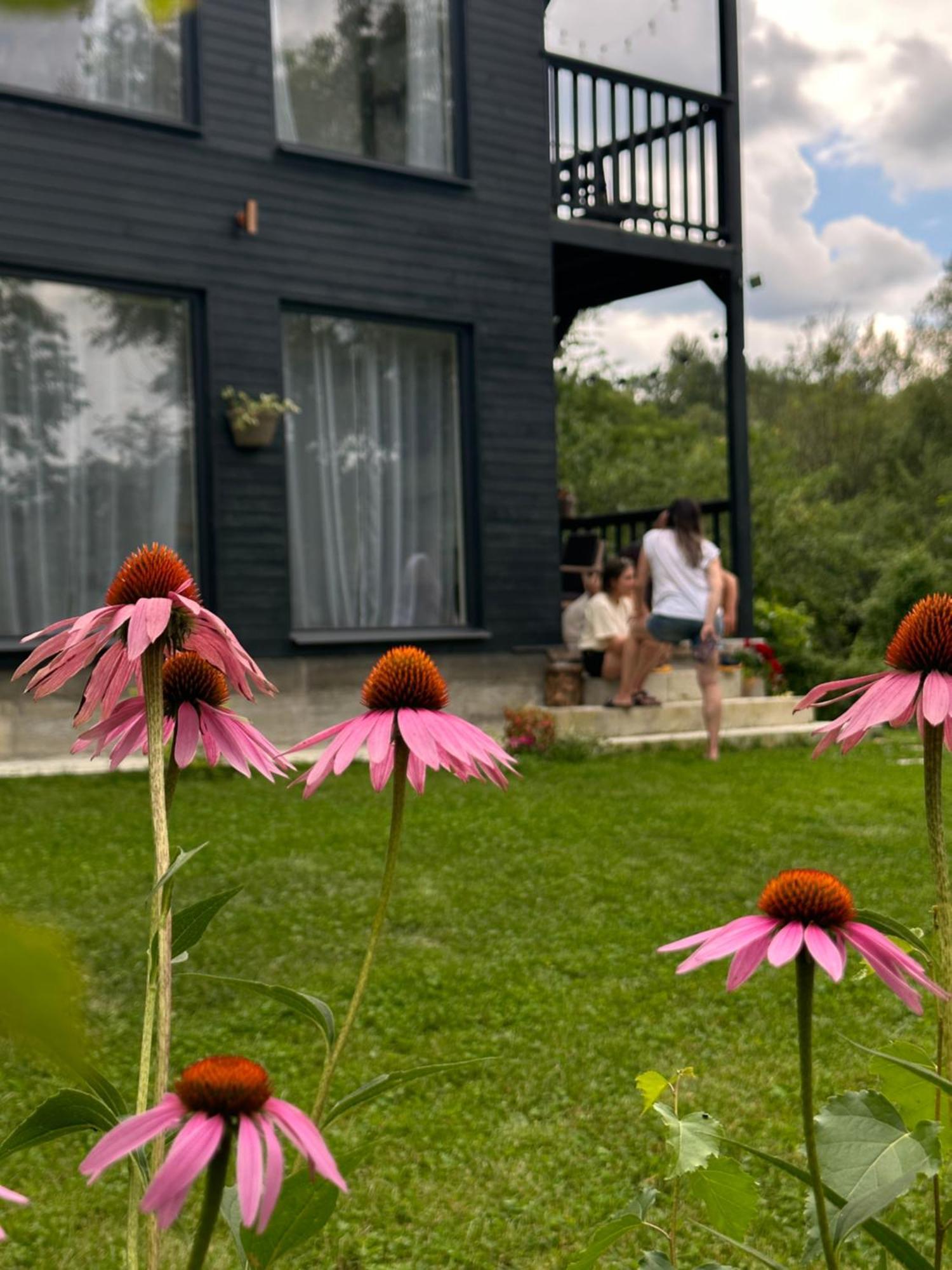 Casa De Pe Un Deal-Provita De Sus-Prahova Exterior foto